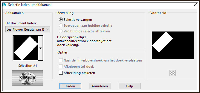 Selecties - Selectie laden/opslaan - Selectie laden uit alfkanaal : Sélection #1