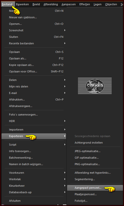 Bestand - Exporteren - Aangepast penseel