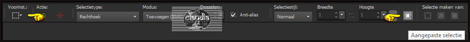 Activeer het Selectiegereedschap (toets S op het toetsenbord) - Aangepaste selectie
