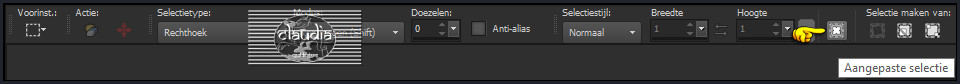Activeer het Selectiegereedschap (druk op de S toets op het toetsenbord) - Aangepaste selectie