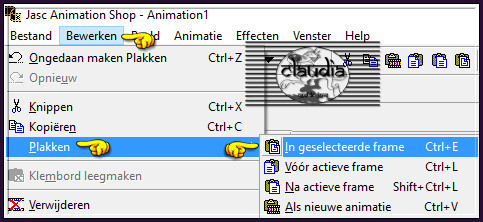 Bewerken - Plakken - In geselecteerde frame