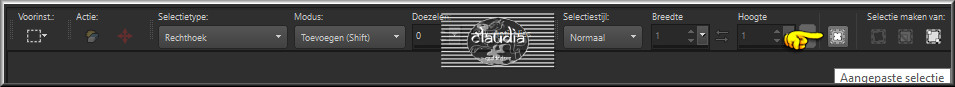 Activeer het Selectiegereedschap (toets S op het toetsenbord) - Aangepaste selectie