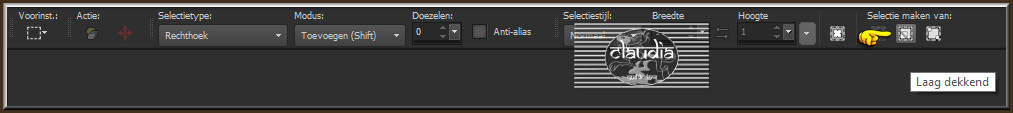Activeer het Selectiegereedschap (toets S op het toetsenbord) en klik op "Laag dekkend"