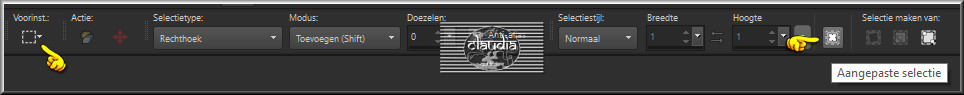Activeer het Selectiegereedschap (toets S op het toetsenbord) - Aangepaste selectie