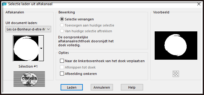 Selecties - Selectie laden/opslaan - Selectie laden uit alfkanaal : Sélection #1