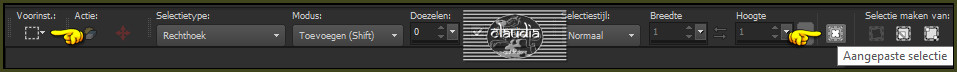 Activeer het Selectiegereedschap (toets S op het toetsenbord) - Aangepaste selectie