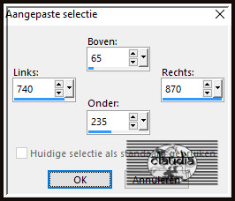 Activeer het Selectiegereedschap (toets S op het toetsenbord) - Aangepaste selectie en voer deze getallen in :