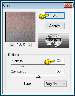 Effecten - Insteekfilters - Textures - Grain