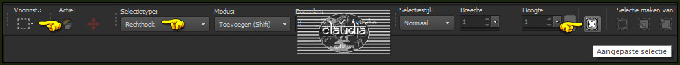 Activeer het Selectiegereedschap (toets S op het toetsenbord) - Aangepaste selectie