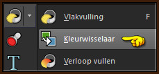 Activeer het Gereedschap "Kleurwisselaar"
