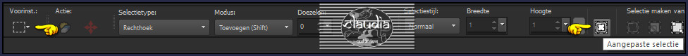 Activeer het Selectiegereedschap (toets S op het toetsenbord) - Aangepaste selectie