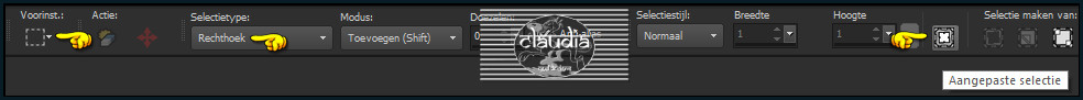 Activeer het Selectiegereedschap (toets S op het toetsenbord) - Aangepaste selectie
