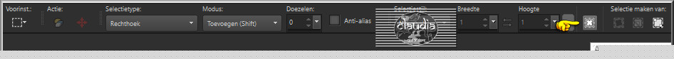 Activeer het Selectiegereedschap (toets S op het toetsenbord) - Aangepaste selectie