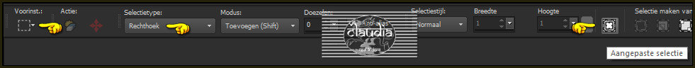 Activeer het Selectiegereedschap (toets S op het toetsenbord) - Aangepaste selectie