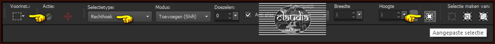 Activeer het Selectiegereedschap (toets S op het toetsenbord) - Aangepaste selectie