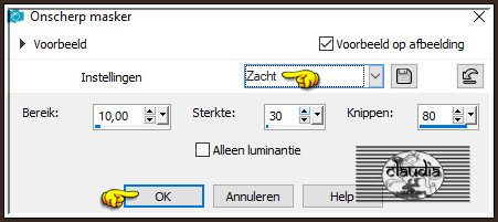 Aanpassen - Scherpte - Onscherp masker 