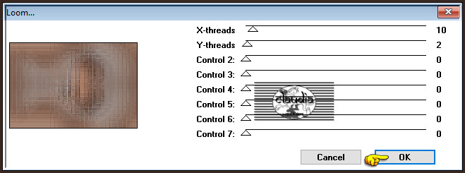 Effecten - Insteekfilters - FunHouse - Loom