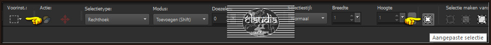 Activeer het Selectiegereedschap (toets S op het toetsenbord) - Aangepaste selectie