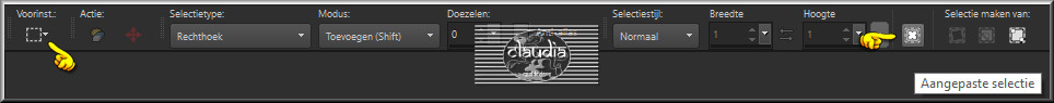 Activeer het Selectiegereedschap (toets S op het toetsenbord) - Aangepaste selectie