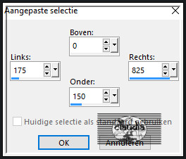 Activeer het Selectiegereedschap (toets S op het toetsenbord) - Aangepaste selectie en voer deze getallen in