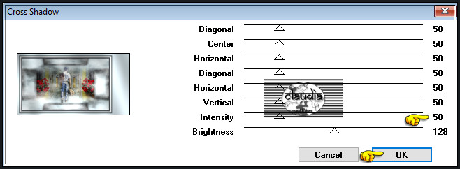 Effecten - Insteekfilters - Graphics Plus - Cross Shadow