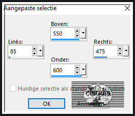 Activeer het Selectiegereedschap (toets S op het toetsenbord) - Aangepaste selectie en voer deze getallen in