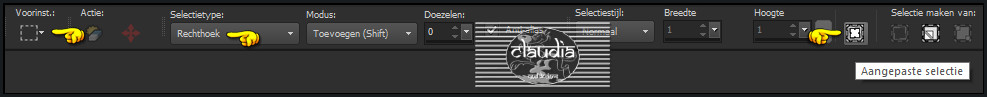 Activeer het Selectiegereedschap (toets S op het toetsenbord) - Aangepaste selectie