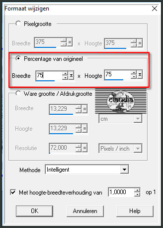 Animatie - Formaat van animatie wijzigen