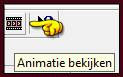 De animatie bekijken doe je door op dit icoontje te klikken