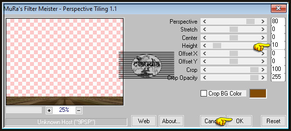 Effecten - Insteekfilters - MuRa's Meister - Perspective Tiling