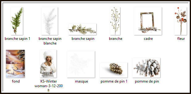 Inhoud Materialen Map