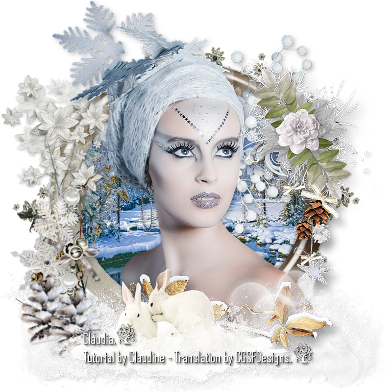 Les : Hiver Blanc van Claudine