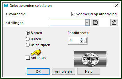 Selecties - Wijzigen - Selectieranden selecteren