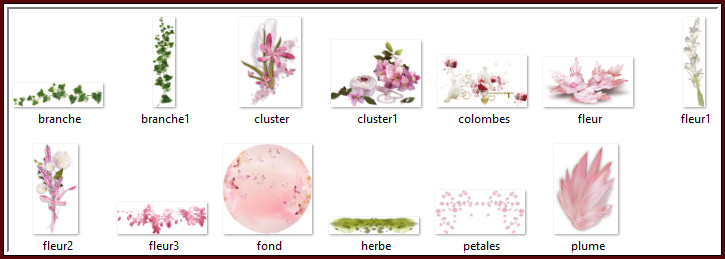 Inhoud Materialen Map