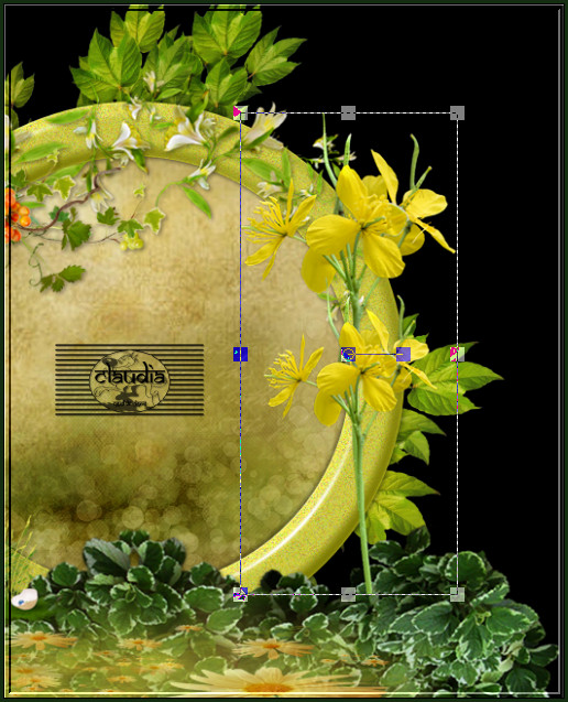 Plaats het element rechts op het frame