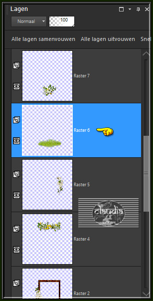Activeer de laag met het gras erop (= Raster 6)
