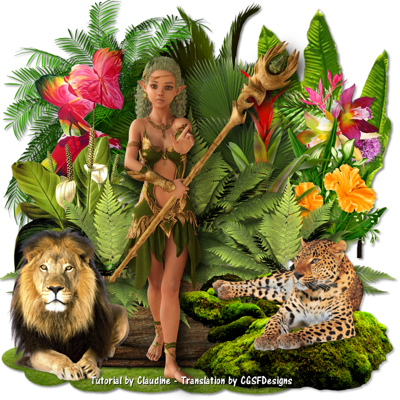 Les : Princess de la Jungle van Claudine