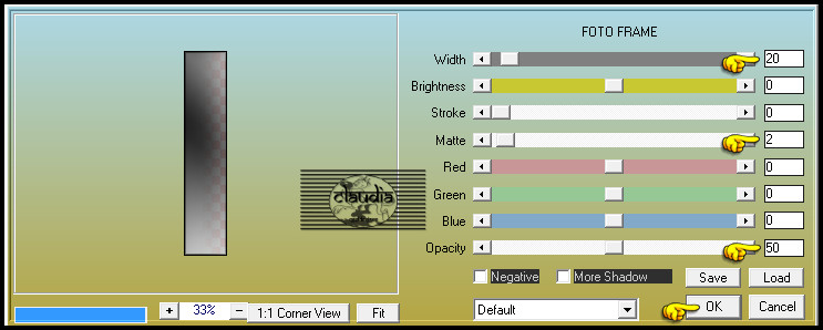 Effecten - Insteekfilters - AAA Frames - Foto Frame