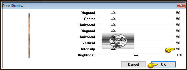 Effecten - Insteekfilters - Graphics Plus - Cross Shadow