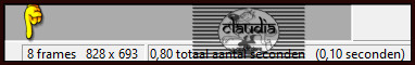 In totaal heb je nu 8 frames. Dit kan je controleren rechts onderaan je werkblad van AS 