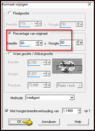 Animatie - Formaat van animatie wijzigen 