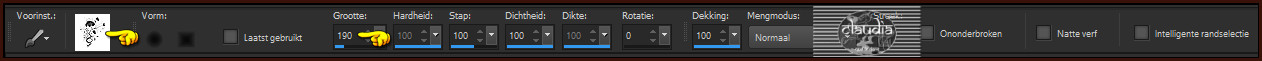 Activeer het "Penseelgereedschap" en zoek de brushe "cloclo1" met deze instellingen