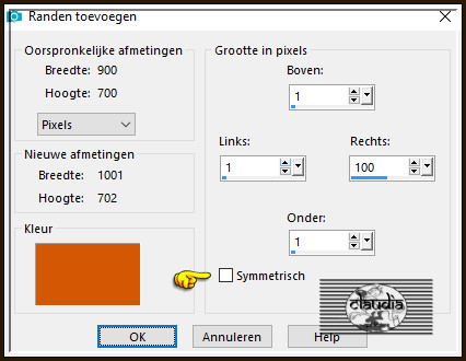 Afbeelding - Randen toevoegen : Kleur = 3de kleur