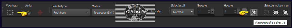 Activeer het Selectiegereedschap (toets S op het toetsenbord) - Aangepaste selectie