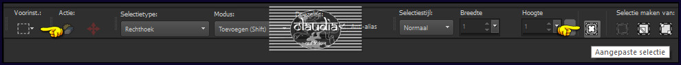 Activeer het Selectiegereedschap (toets S op het toetsenbord) - Aangepaste selectie 