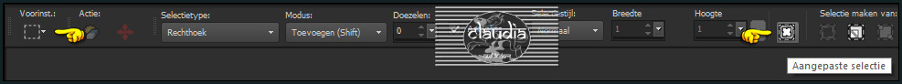 Activeer het Selectiegereedschap (toets S op het toetsenbord) - Aangepaste selectie