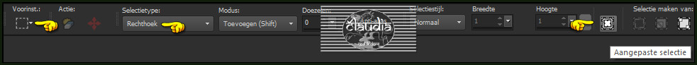 Activeer het Selectiegereedschap (toets S op het toetsenbord) - Aangepaste selectie :