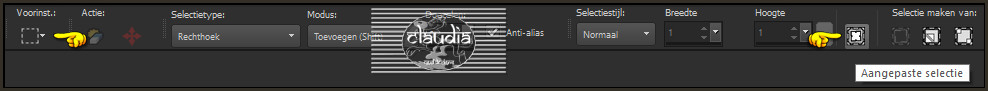 Activeer het Selectiegereedschap (toets S op het toetsenbord) - Aangepaste selectie 