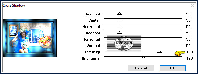 Effecten - Insteekfilters - Graphics Plus - Cross Shadow