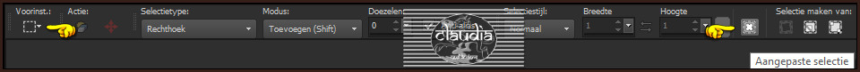 Activeer het Selectiegereedschap (toets S op het toetsenbord) - Aangepaste selectie